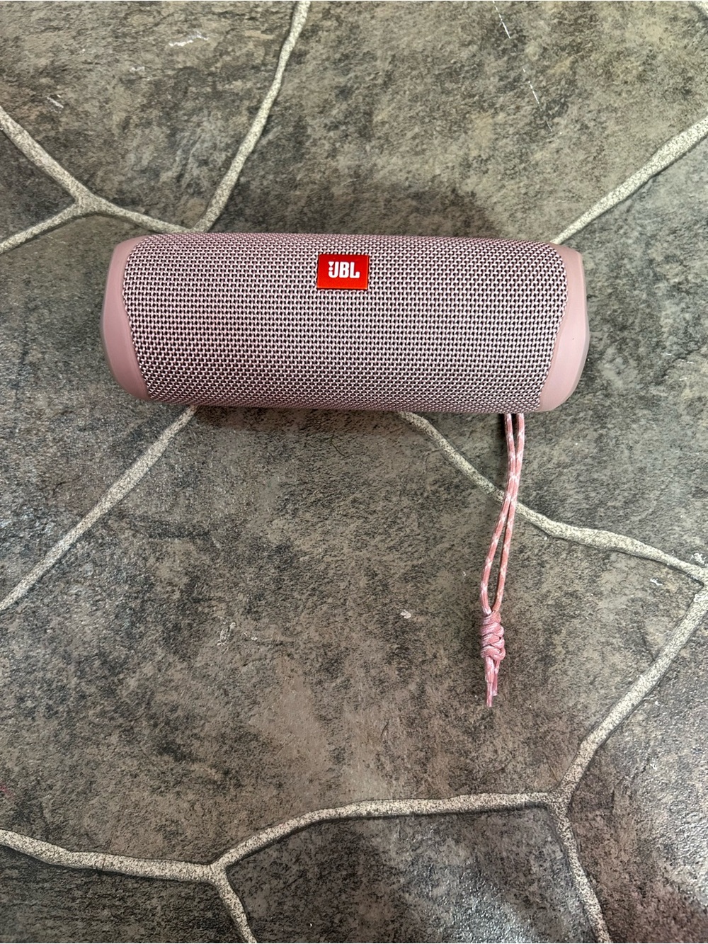 JBL Pink Portable Bluetooth Speaker with Carry Strap